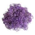 thumbnail image 1 of Member's Mark Enhanced Gypsophila, choose color and stem count, 1 of 3