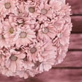 thumbnail image 5 of Member's Mark Painted Poms, 60 Stems, choose color, 5 of 6