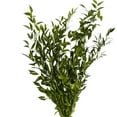 thumbnail image 2 of Member's Mark Italian Ruscus, Choose stem count, 2 of 3