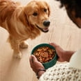 thumbnail image 2 of Jinx Homeamdes Variety Pack, Wet Dog Food Pack , 9 oz., 12 ct., 2 of 12