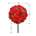 thumbnail image 8 of Artificial 15" Round Poinsettia Balls, 2 Pack, 8 of 9