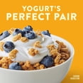 thumbnail image 5 of Nature Valley Oats 'n Honey Protein Granola, 28 oz., 5 of 8