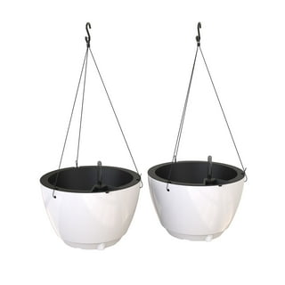 Mayne Caprio 14" Hanging Basket, Set of 2