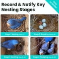 thumbnail image 4 of Birdfy Solar Powered Nest Smart Bird House with Camera, 4 of 8