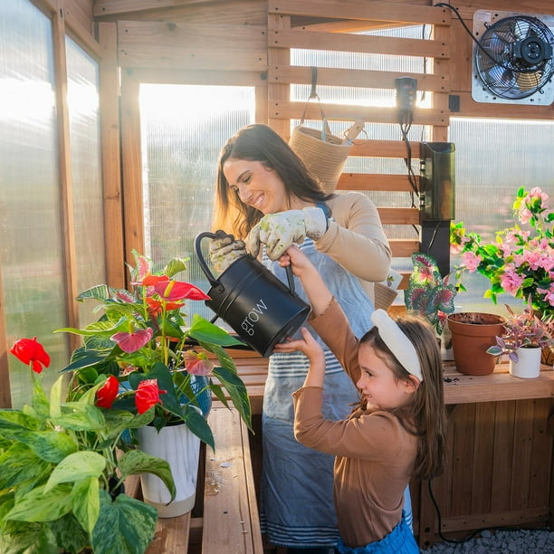 Backyard Discovery 9' x 6' Slant Roof Cedar Greenhouse - Samsclub.com