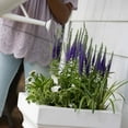 thumbnail image 5 of Step2 Atherton 24" Planter, Set of 2, 5 of 16