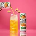 thumbnail image 4 of Just Hard Squeezed Hard Juice Variety Pack, 12 fl. oz. can, 12 pk., 4 of 16