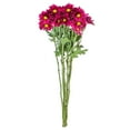 thumbnail image 2 of Member's Mark Pompon Daisies, 90 stems (Choose color), 2 of 4