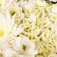 thumbnail image 3 of Member's Mark Mixed Farm Bunch, Simply White 8 bunches, 3 of 5
