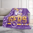 thumbnail image 2 of Logo Brands Benedict College Tigers 60"x70" Super Plush Blanket, 2 of 7