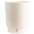 thumbnail image 3 of Costa Farms 10" Tropical Foliage Plant in Self-Watering Pot, 3 of 9
