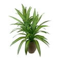 thumbnail image 1 of Faux 5' Deluxe Dracaena Floor Plant in Brown Tuscany Pottery Pot, 1 of 5