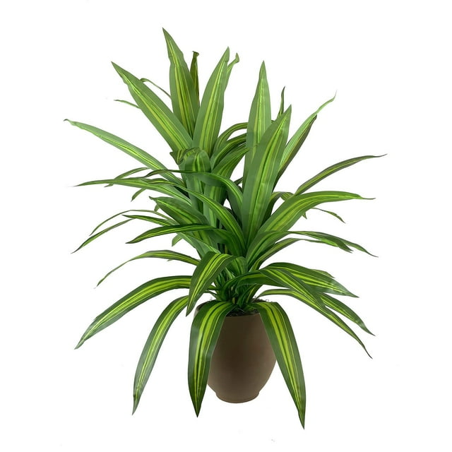 Faux 5' Deluxe Dracaena Floor Plant in Brown Tuscany Pottery Pot