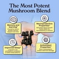 thumbnail image 6 of Nutrops by Gruns Adult Organic Functional Nootropic Mushroom Gummies, 25 ct., 6 of 8