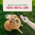 thumbnail image 5 of VETIQ 8-In-1 Multi-Benefit Soft Dog Chews, Hickory Smoke Flavored 60 ct., 2 pk., 5 of 8