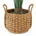 thumbnail image 2 of Artificial 54" Taro in Handwoven Basket - Natural or Bi-Color Baskets, 2 of 5