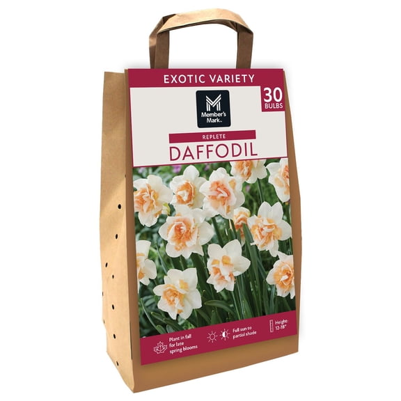 Member's Mark Daffodil Replete Dormant Bulbs, 30pk