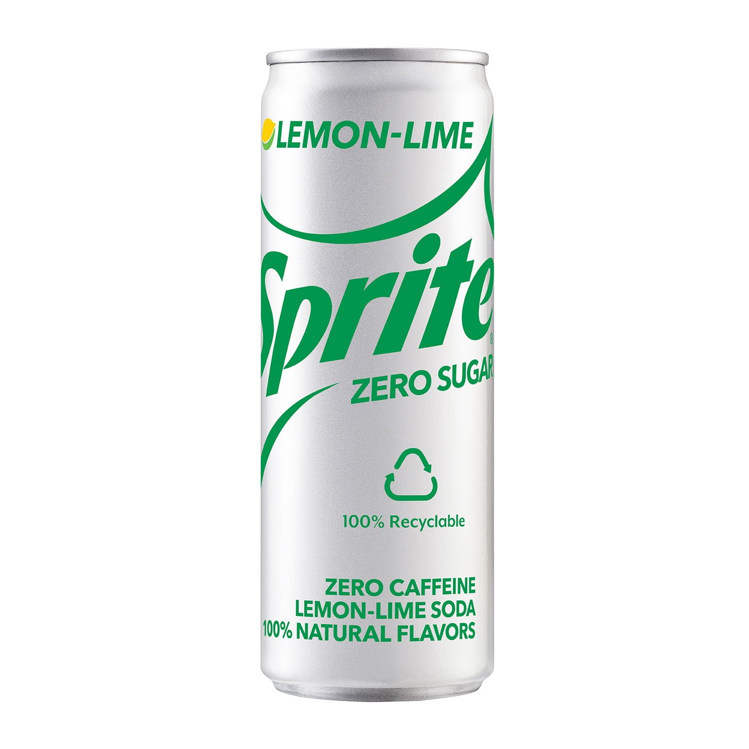 その他 Ozwrt Spirit of Copiapoa cinerea OZWRT Spirit of Copiapoa cinerea オズワート 【公式通販】