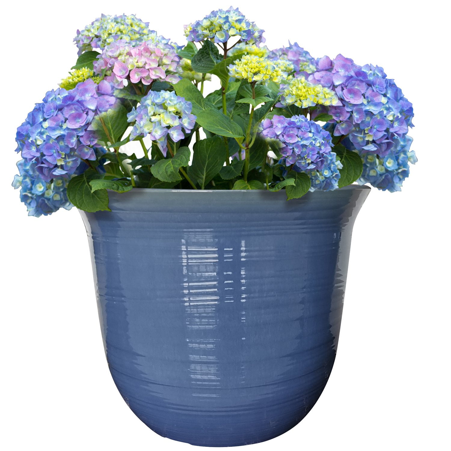 フラワー・ガーデニング P-CHAMBER.SRLMEX-S P-P POT neighborhood Member's Mark 22