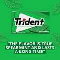 thumbnail image 5 of Trident Spearmint Sugar Free Gum, 14 pcs., 15 pk., 5 of 10