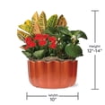 thumbnail image 4 of 10" Fall Centerpiece in Bronc Pot, 4 of 5