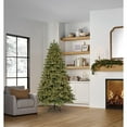 thumbnail image 1 of Member's Mark 7.5' Norway Fir Pre-Lit Christmas Tree, 1 of 9