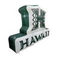 thumbnail image 5 of Logo Brands Hawaii Rainbow Warriors Pre-Lit 7’x10’ Team Inflatable, 5 of 6