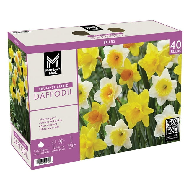 Member's Mark Daffodil Mix Dormant Bulbs, 40pk