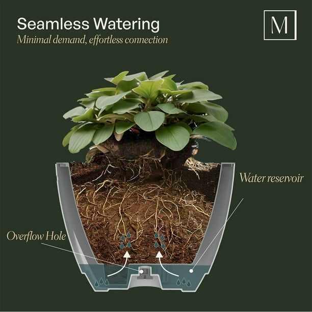 Mayne Caprio 14" Hanging Basket, Set of 2 - Samsclub.com