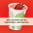 thumbnail image 4 of Earth Table Compostable Paper Cups 16 fl. oz., 120 ct., 4 of 4