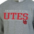 thumbnail image 5 of Champion NCAA Men's Fleece Crewneck Sweatshirt, 5 of 6