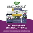 thumbnail image 6 of Sambucus Elderberry Throat Lozenges with Vitamin C and Zinc, 120 ct., 6 of 11
