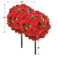 thumbnail image 9 of Artificial 15" Round Poinsettia Balls, 2 Pack, 9 of 9