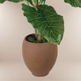 thumbnail image 2 of Artificial 6' Taro Tree in a Brown Ceramic Planter, 2 of 5