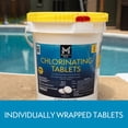 thumbnail image 7 of Member's Mark 3" Chlorinating Tablets, 40 lbs., 7 of 7