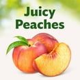 thumbnail image 4 of Del Monte Sliced Peaches in 100% Juice, 15 oz., 6 pk., 4 of 6
