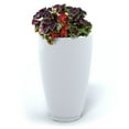 thumbnail image 2 of Mayne Caprio Tall Planter, Choose Size, 2 of 10
