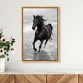 thumbnail image 3 of Graceful Horse Black and White Canvas Print by Oliver Gal Prints, 3 of 4