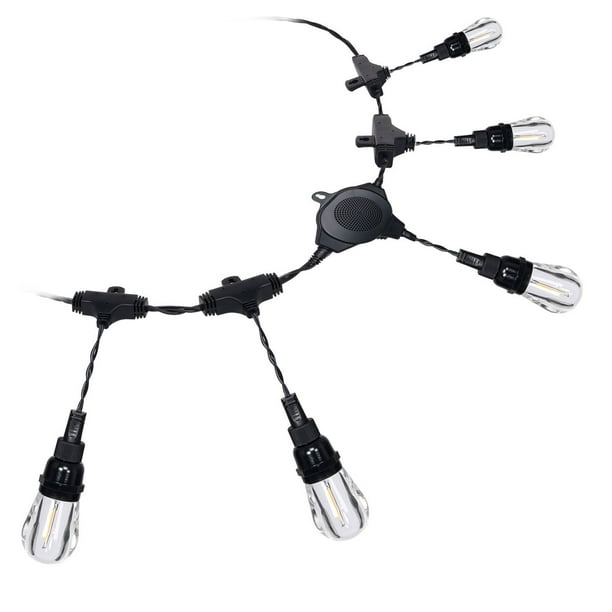 Honeywell LED Indoor/Outdoor 36' String Lights with Bluetooth