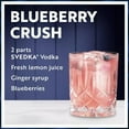 thumbnail image 3 of SVEDKA Vodka (750 ml), 3 of 7