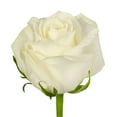 thumbnail image 3 of Member's Mark Roses and Petals Combo, 75 stems+ 2,000 petals, choose color, 3 of 4