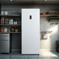 thumbnail image 3 of Hamilton Beach 14 cu. ft. Upright Convertible Refrigerator/Freezer, 3 of 8