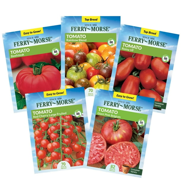 Garden Starter Kit with Vegetable Seeds and Seed Starter Tray