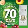 thumbnail image 3 of Air Wick Plug In Scented Oil Air Freshener, Sea Spray & Breeze, Sweet Peach, 1 warmer + 6 refills, 3 of 12