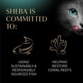 thumbnail image 7 of Sheba Perfect Portions Cuts in Gravy Adult Variety Wet Cat Food, Twin-Pack Tray, 1.32 oz., 60 ct., 120 servings, 7 of 12