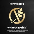 thumbnail image 7 of Cesar Filets in Gravy Wet Dog Food Steak and Poultry Variety Pack, 3.5 oz., 48 ct., 7 of 9