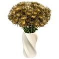 thumbnail image 2 of Member's Mark Painted Mums,  choose color and stem count, 2 of 5