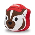 thumbnail image 3 of Logo Brands Wisconsin Badgers Puff Pillow, 3 of 5