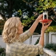 thumbnail image 12 of Birdfy Solar Powered Smart Hummingbird Feeder w/ AI Recognition, 12 of 12
