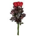thumbnail image 4 of Member's Mark Farm Fresh Velvet Roses, choose color and stem count, 4 of 6